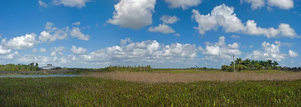 Green Cay Wetlands