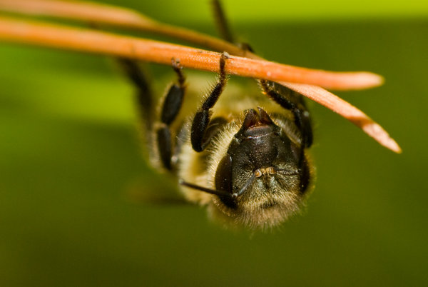 Just Hanging Around