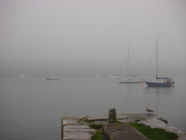 Misty morning