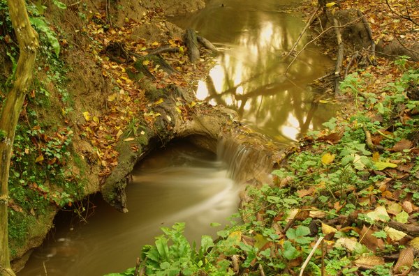 Smallest Water Fall!