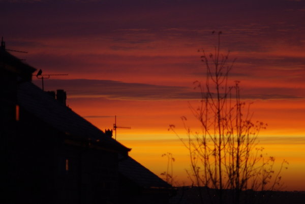 Sunrise