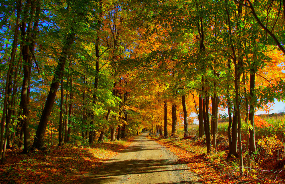 Country Road