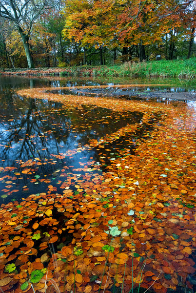 Tansley Pond