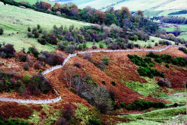 Winding wall