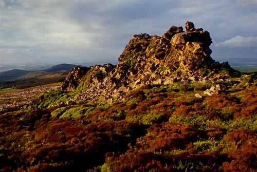 Winter Light on the Tor