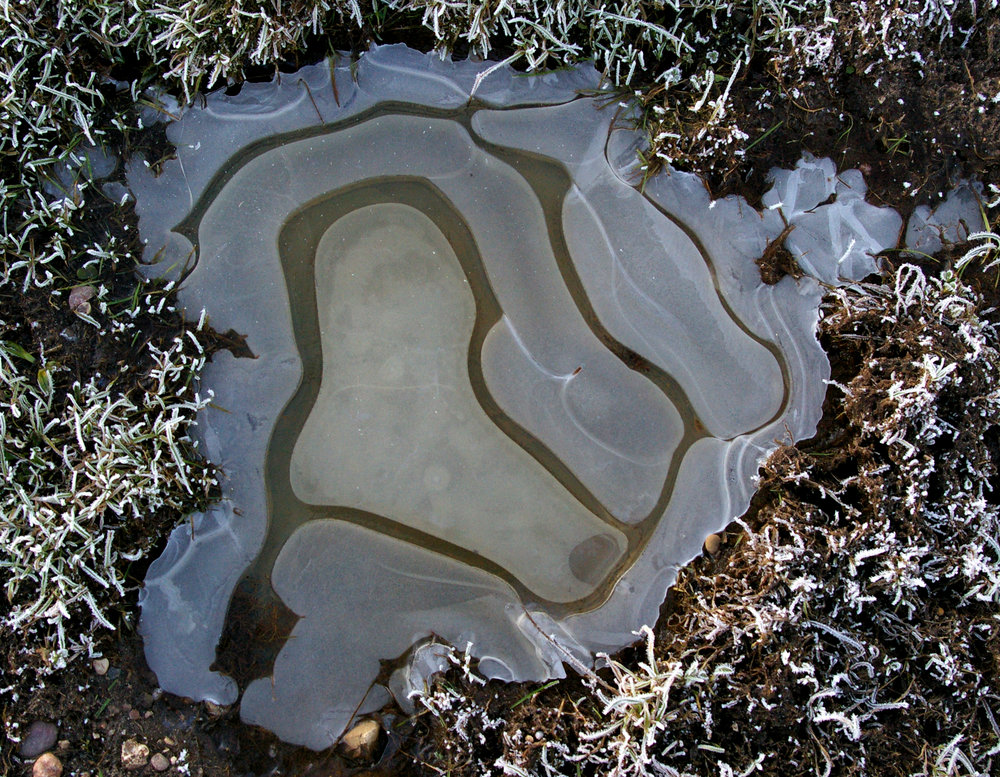 7.00 am and a frozen puddle