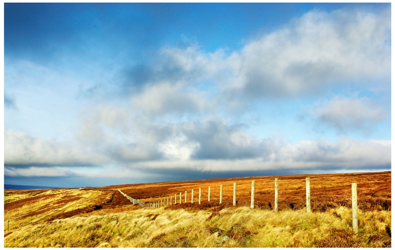 A sunny December day