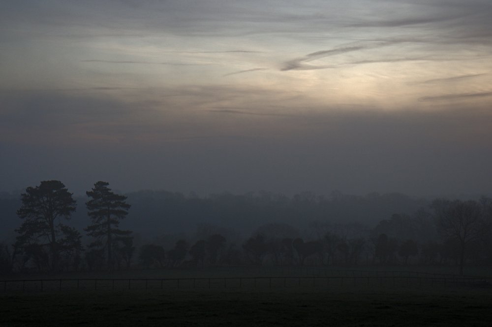 Evening Mist