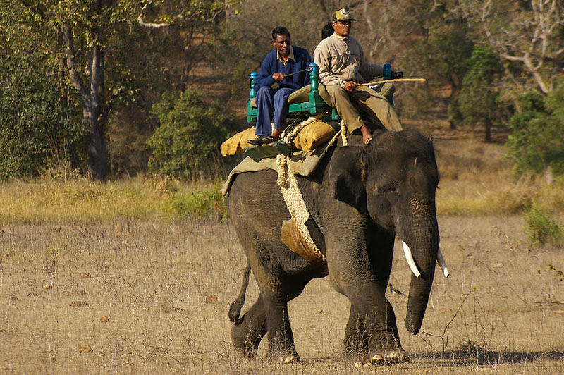 Mahout