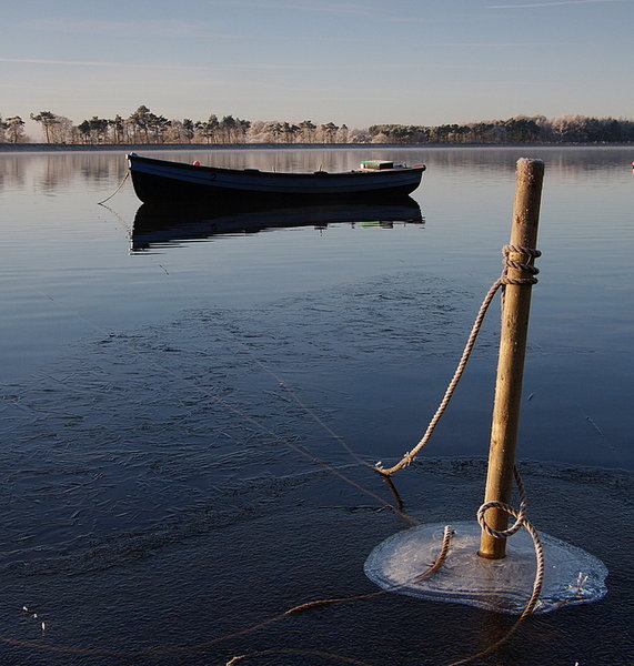 Cold Morning2