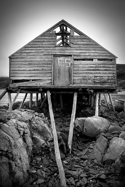 Fleur de Lys - Newfoundland