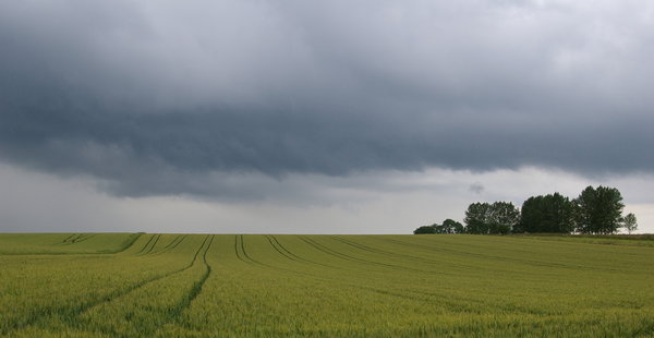 Rain coming!