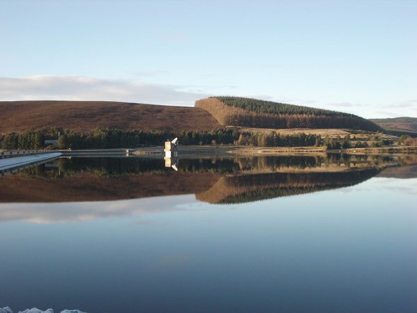 Reflections 2