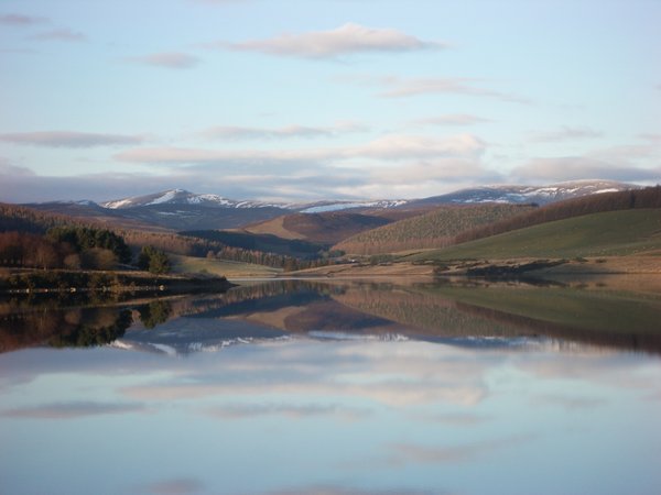 Reflections