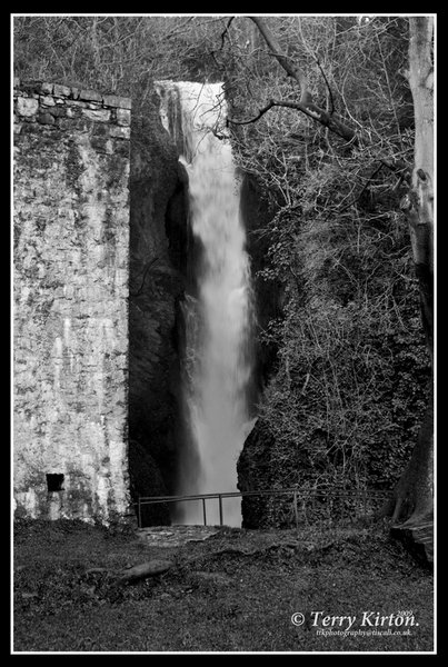 Waterfall Black + White
