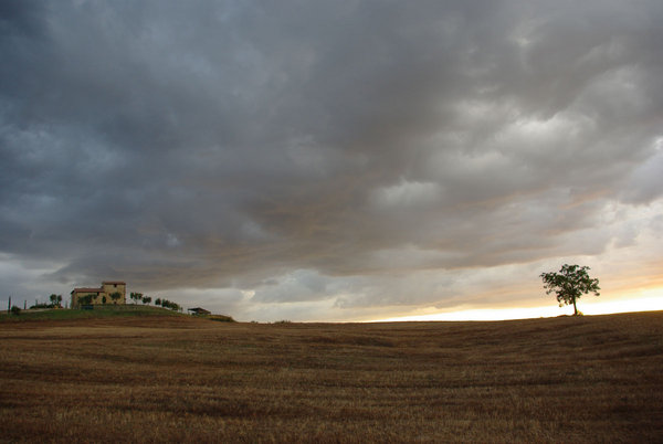 banal landscaspe
