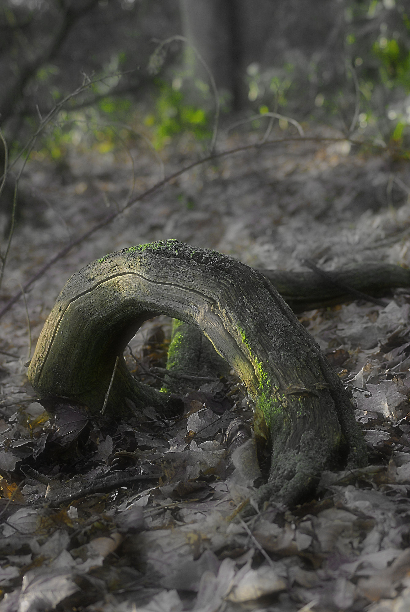 Decay
