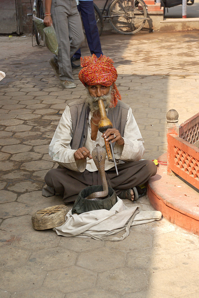 Snake Charmer, Delji