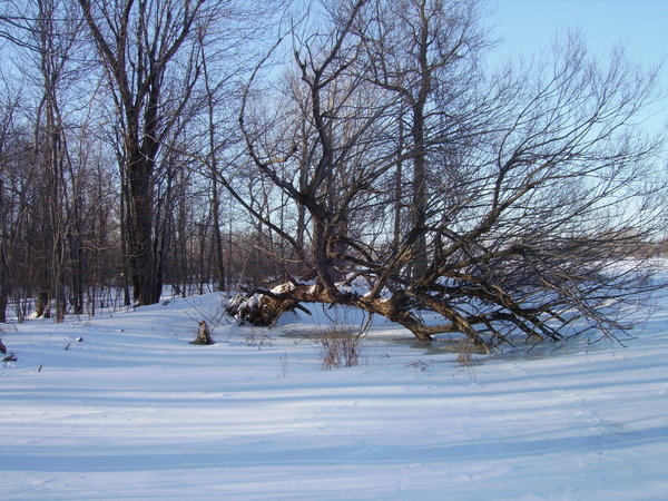Cold Day on the Saint Lawrence River