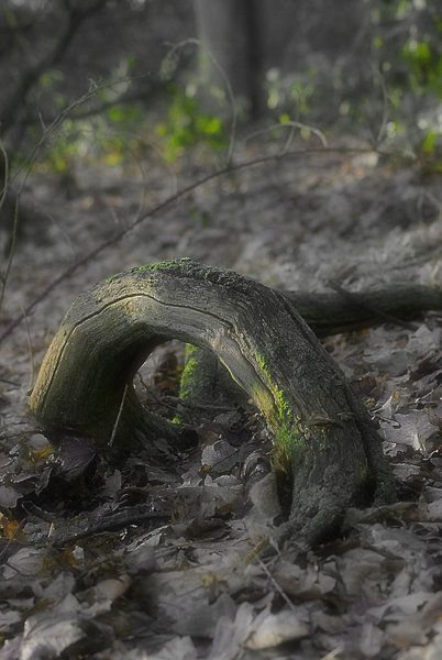 Decay