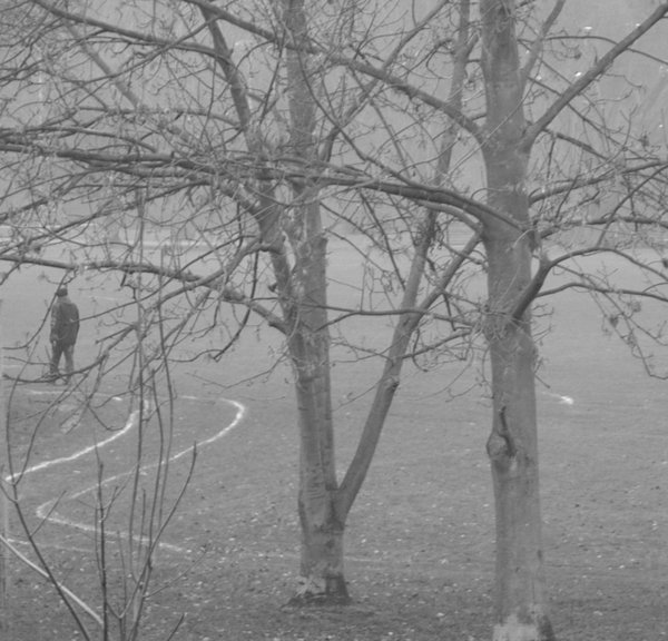 Grey day in the park.001