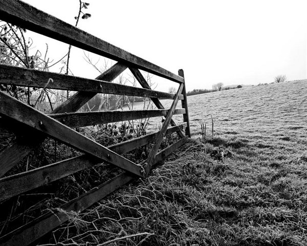 Open gate