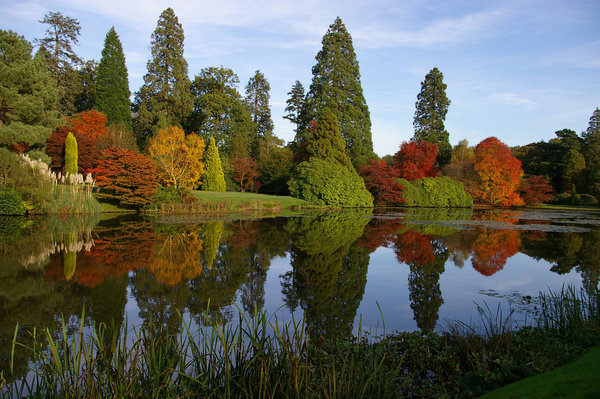 Reflections