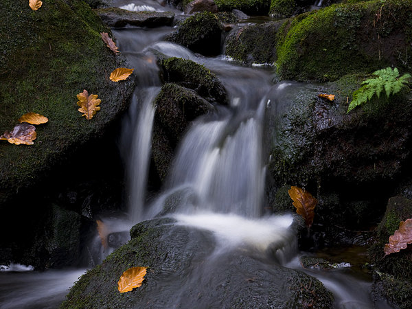 Small Waterfall