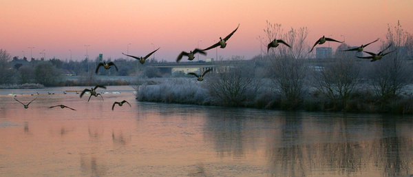 Tameside Nature Reserve