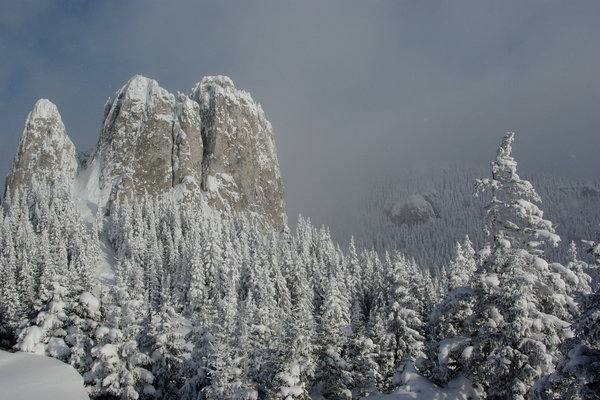 Winter 2