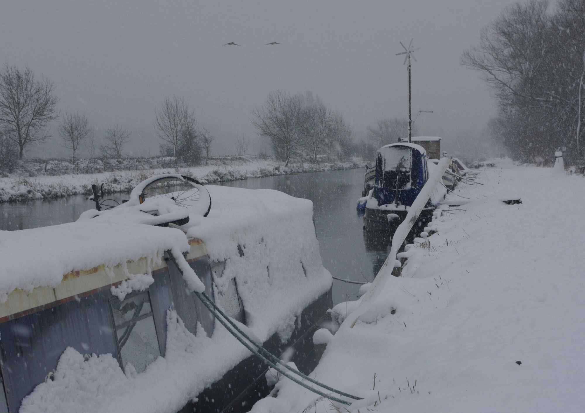Snow on the Lea