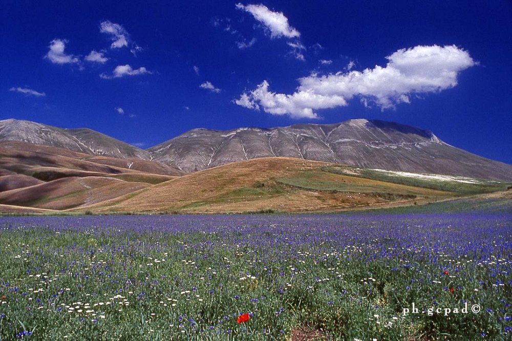 Castelluccio da Norcia-ITALY