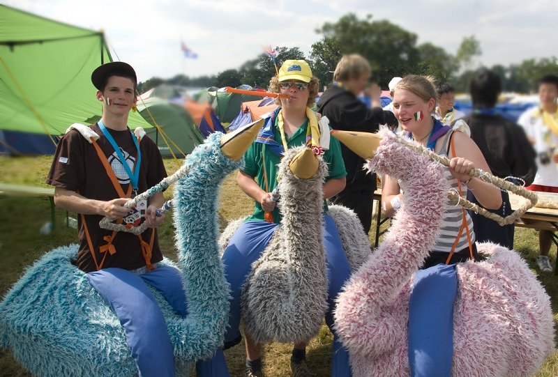 Italian scouts riding ostriches