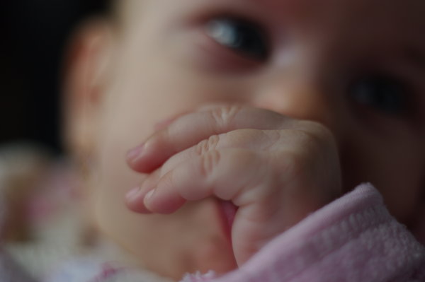 Dorka's hand