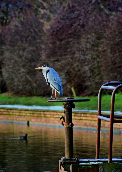 Fishing