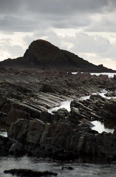 Gull Rock 2