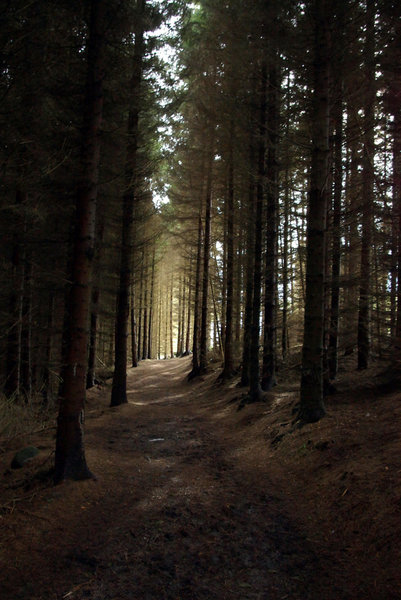 Path