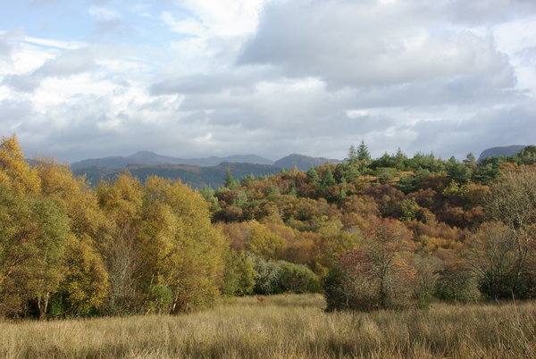 Plockton