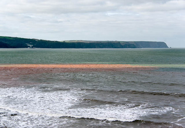 Red Sea off Peppercombe beach