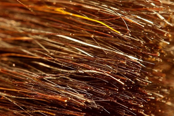 Soft fine brush