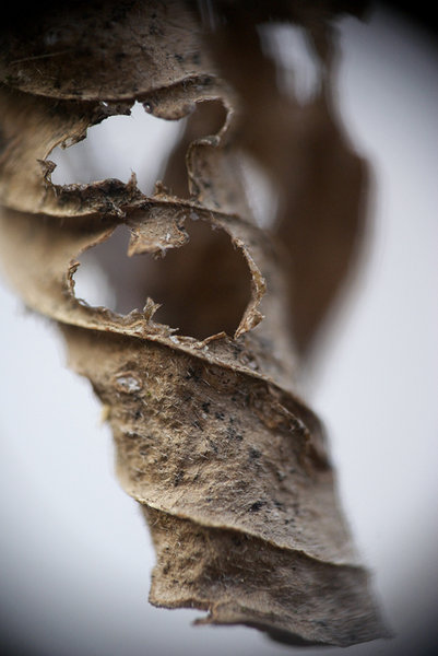 macro~~~