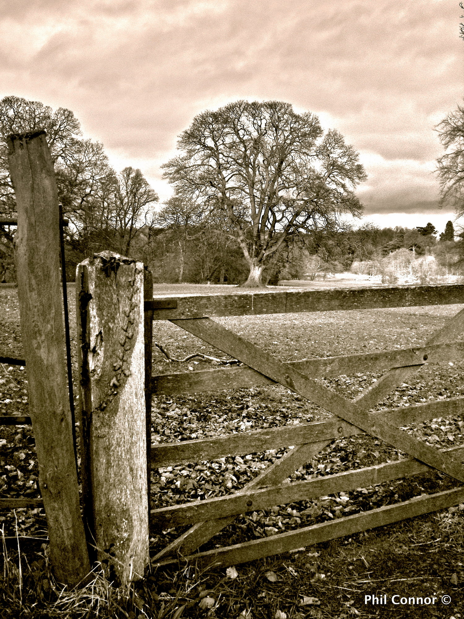 7 bar blues - I mean gate