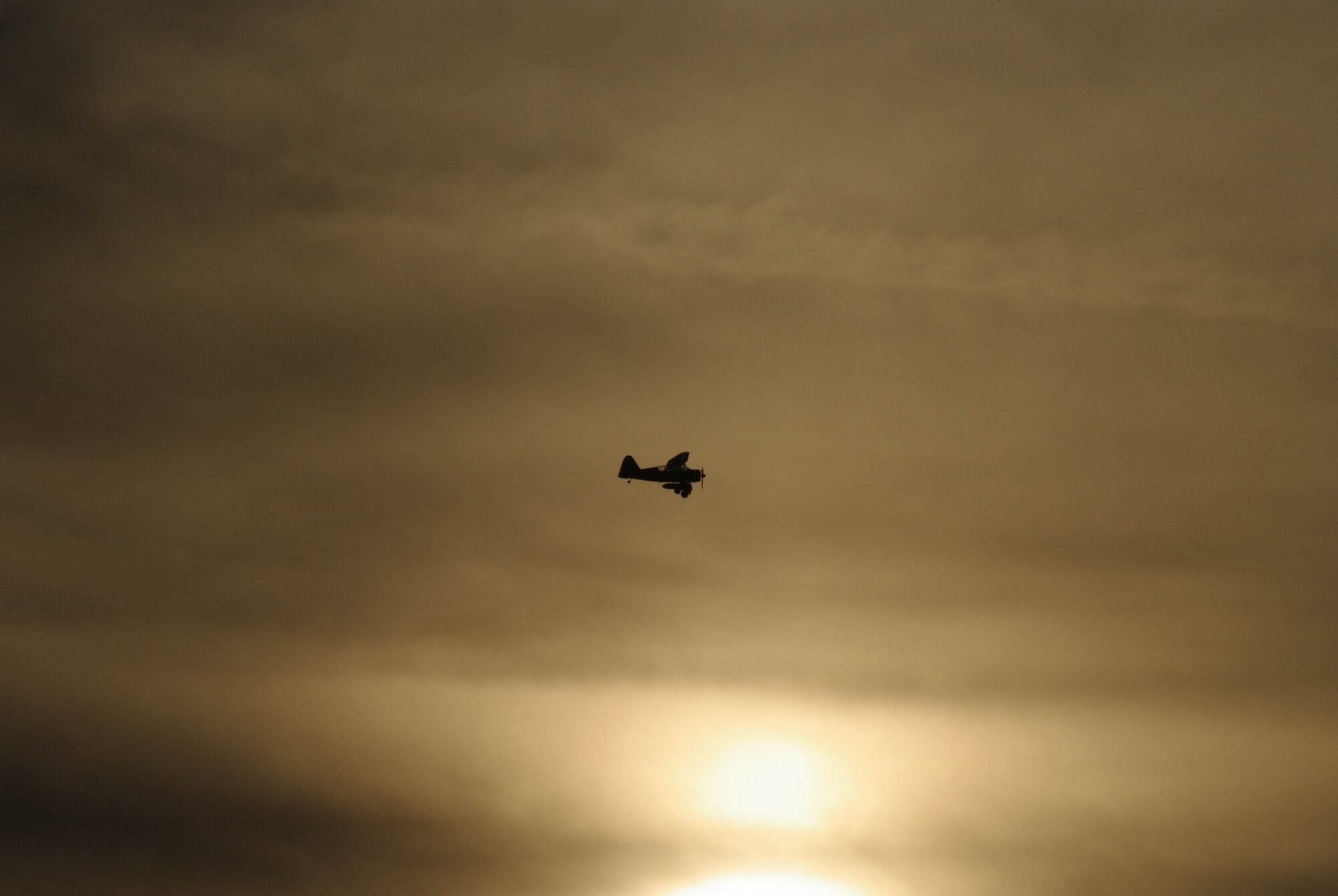 Lysander at Sunset