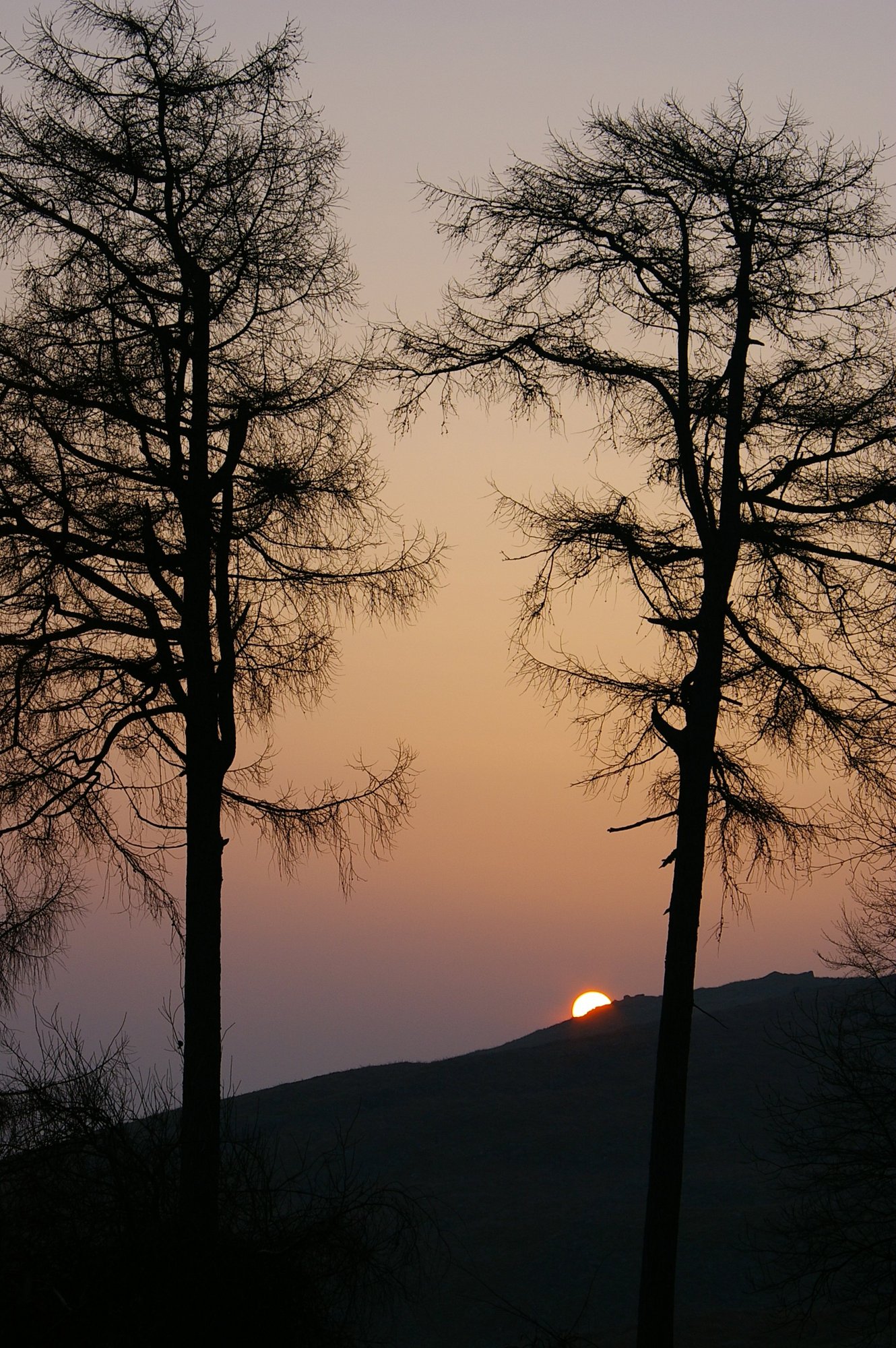 Sunrise over the Cambrians