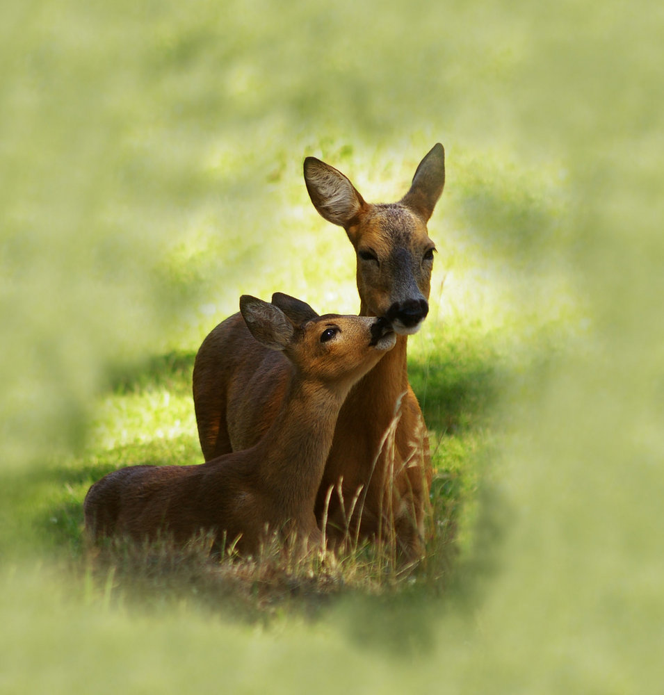 I love you mam..