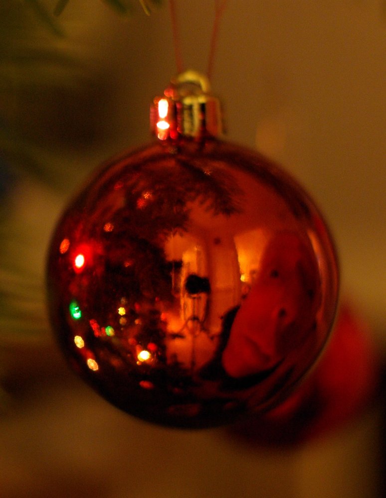 On the bauble