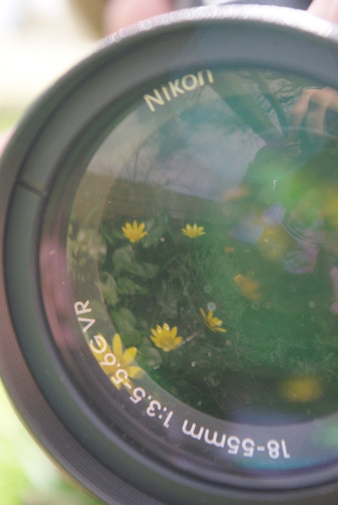 Reflection