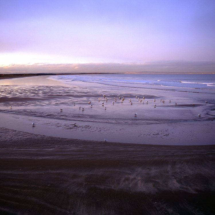 St. Andrews Bay