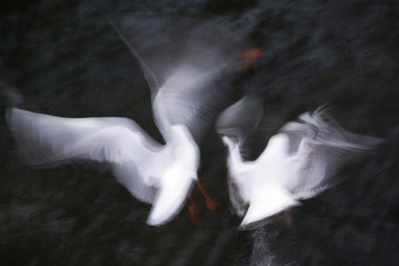 The moment of lift off