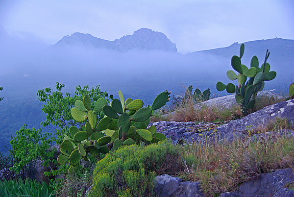 A misty morning in Spain